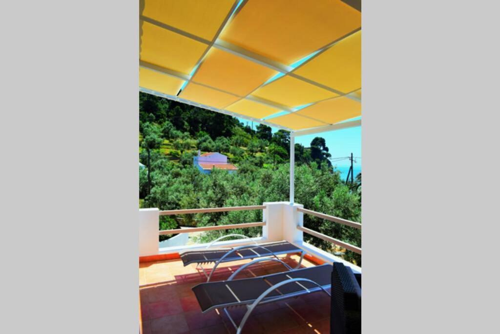 Meltemi Appartment Patitíri Kültér fotó